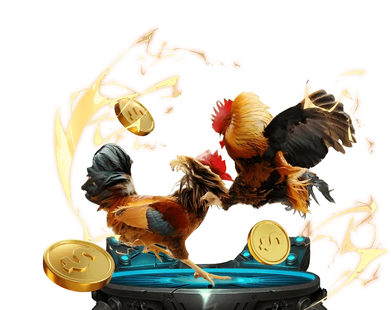 Khuyến mãi độc quyền và chương trình VIP h88